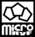Logo MicroRyF